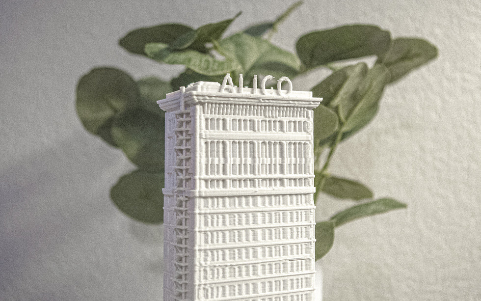 waco alico home decor